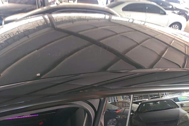 Used Tesla Model Y 2021 Standard Range Rear-Wheel Drive Version Roof