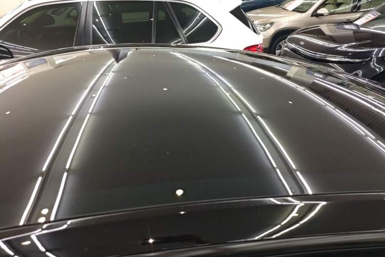 Used Tesla Model Y 2021 Standard Range Rear-Wheel Drive Version Roof