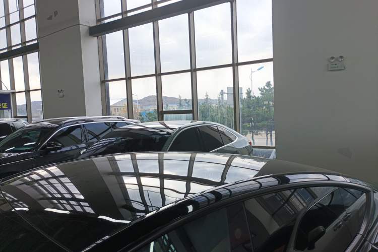 Used Tesla Model Y 2021 Standard Range Rear-Wheel Drive Version Roof