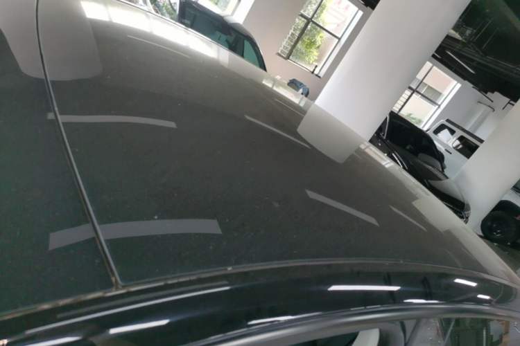 Used Tesla Model Y 2021 Standard Range Rear-Wheel Drive Version Roof