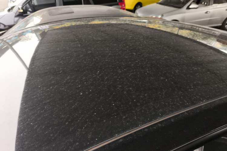 Used Tesla Model Y 2021 Standard Range Rear-Wheel Drive Version Roof