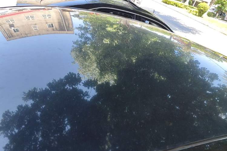 Used Tesla Model Y 2021 Standard Range Rear-Wheel Drive Version Roof
