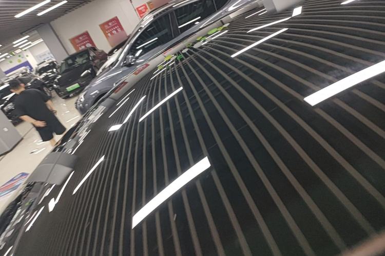 Used Tesla Model Y 2021 Standard Range Rear-Wheel Drive Version Roof