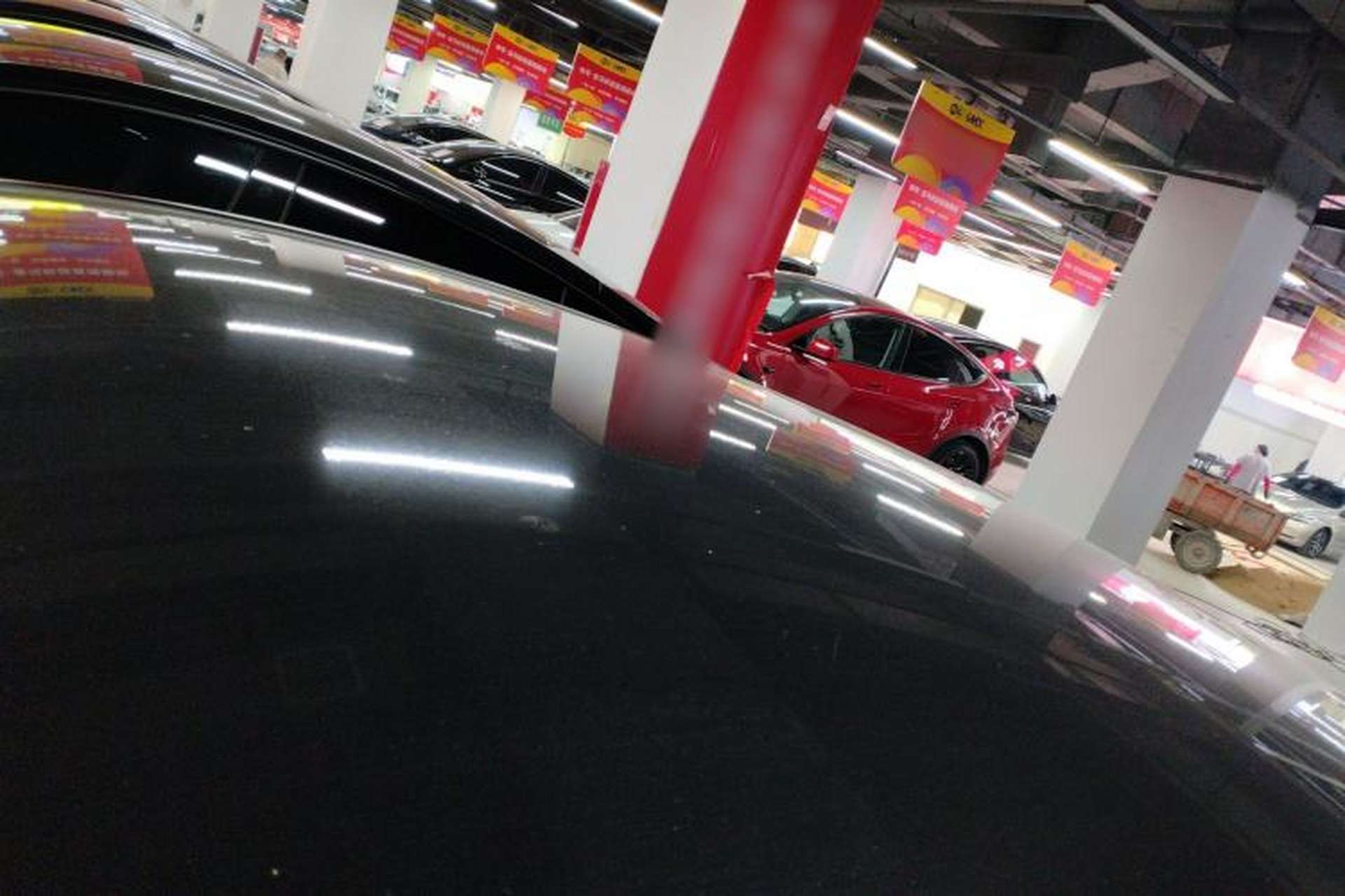 Used Tesla Model Y 2021 Performance High-Performance All-Wheel-Drive Version Roof