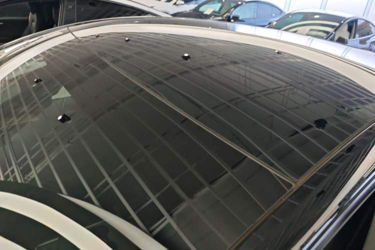 Used Tesla Model Y 2021 Standard Range Rear-Wheel Drive Version Roof
