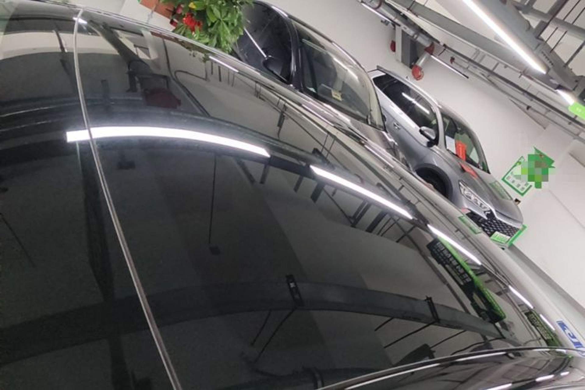 Used Tesla Model Y 2021 Standard Range Rear-Wheel Drive Version Roof
