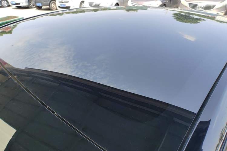 Used Tesla Model Y 2021 Standard Range Rear-Wheel Drive Version Roof