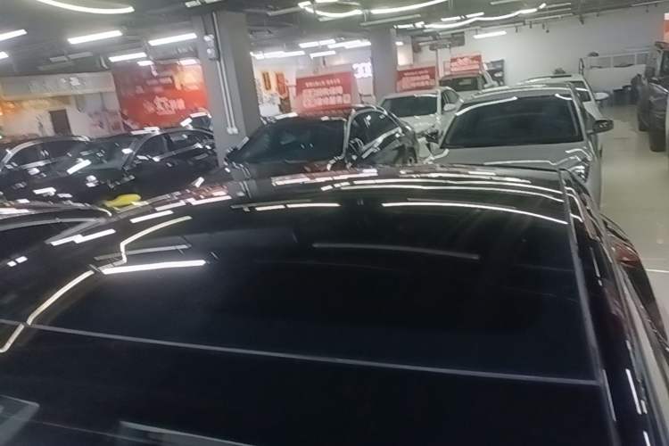 Used Tesla Model Y 2021 Standard Range Rear-Wheel Drive Version Roof