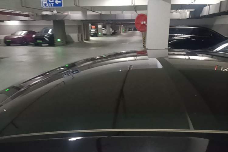 Used Tesla Model Y 2021 Standard Range Rear-Wheel Drive Version Roof