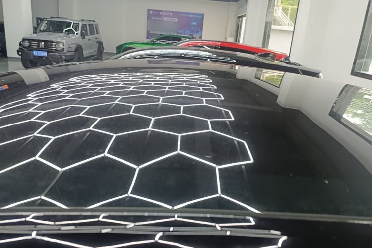 Used Tesla Model Y 2021 Standard Range Rear-Wheel Drive Version Roof