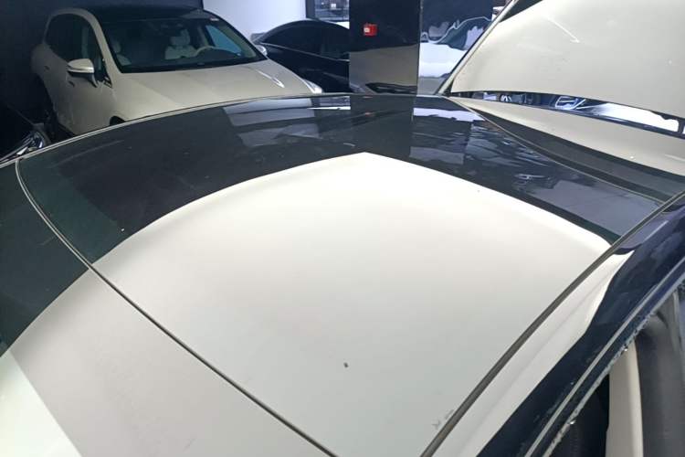 Used Tesla Model Y 2021 Performance High-Performance All-Wheel-Drive Version Roof