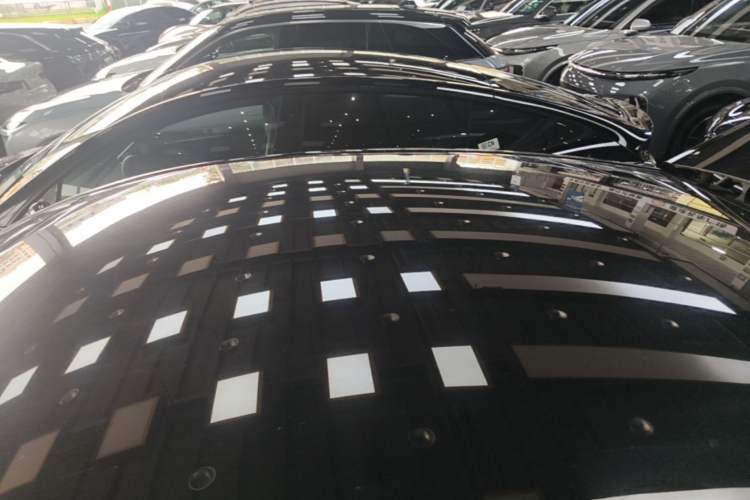 Used Tesla Model Y 2021 Standard Range Rear-Wheel Drive Version Roof