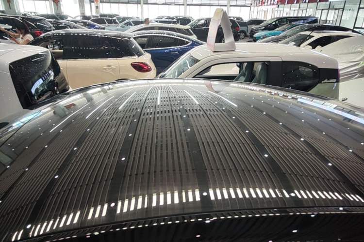 Used Tesla Model Y 2021 Standard Range Rear-Wheel Drive Version Roof