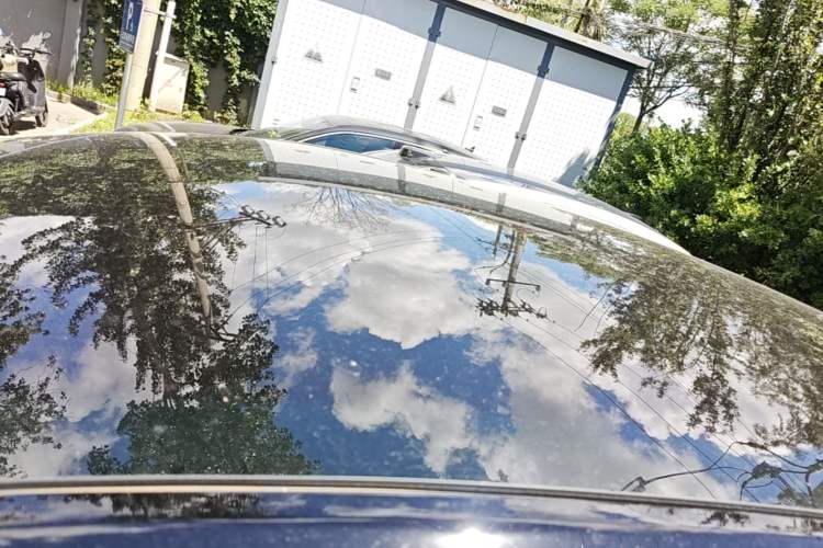Used Tesla Model Y 2021 Standard Range Rear-Wheel Drive Version Roof