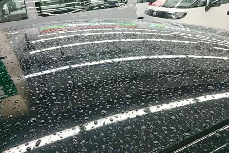 Used Tesla Model Y 2021 Standard Range Rear-Wheel Drive Version Roof