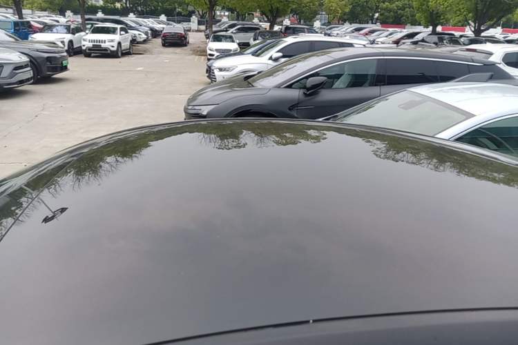 Used Tesla Model Y 2021 Long-Range All-Wheel-Drive Version Roof