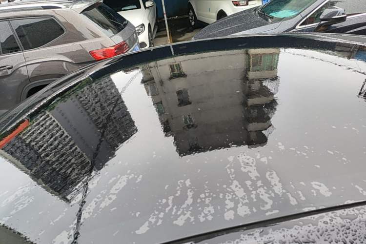 Used Tesla Model Y 2021 Standard Range Rear-Wheel Drive Version Roof