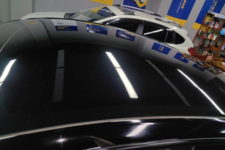 Used Tesla Model Y 2021 Standard Range Rear-Wheel Drive Version Roof