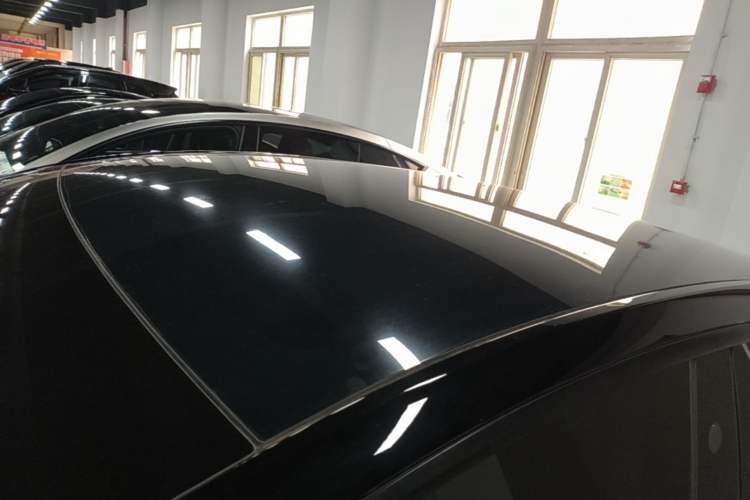 Used Tesla Model Y 2021 Standard Range Rear-Wheel Drive Version Roof