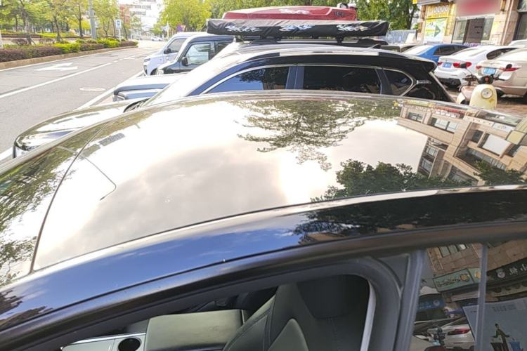 Used Tesla Model Y 2021 Standard Range Rear-Wheel Drive Version Roof