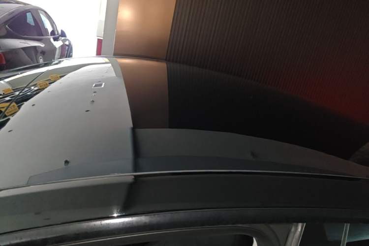 Used Tesla Model Y 2021 Standard Range Rear-Wheel Drive Version Roof