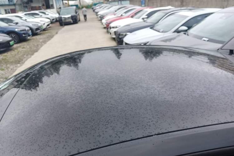 Used Tesla Model Y 2021 Long-Range All-Wheel-Drive Version 3D7 Roof