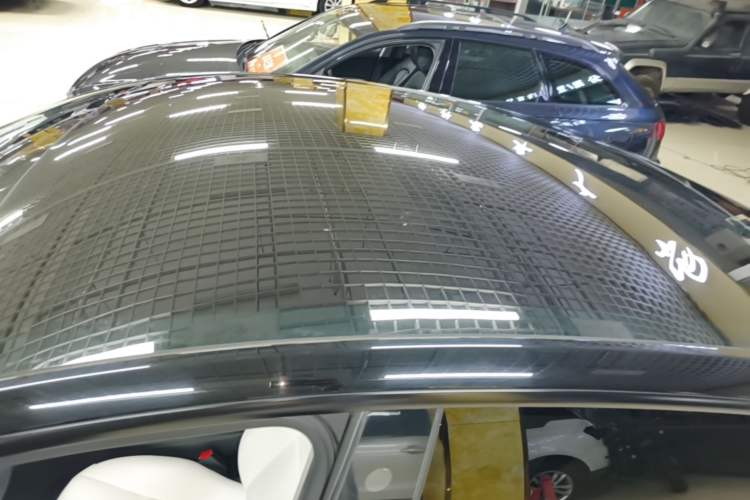 Used Tesla Model Y 2021 Standard Range Rear-Wheel Drive Version Roof