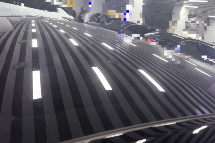 Used Tesla Model Y 2021 Standard Range Rear-Wheel Drive Version Roof