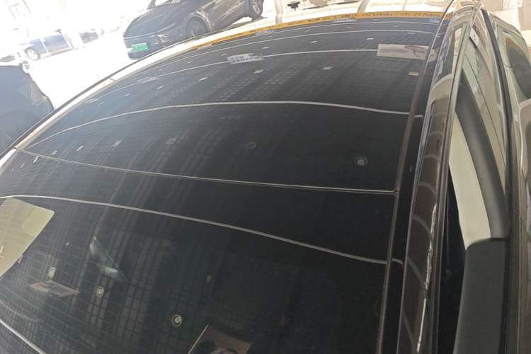 Used Tesla Model Y 2021 Standard Range Rear-Wheel Drive Version Roof