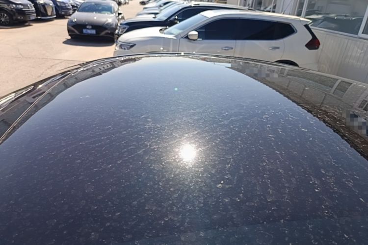 Used Tesla Model Y 2021 Standard Range Rear-Wheel Drive Version Roof