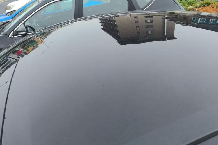 Used Tesla Model Y 2021 Standard Range Rear-Wheel Drive Version Roof