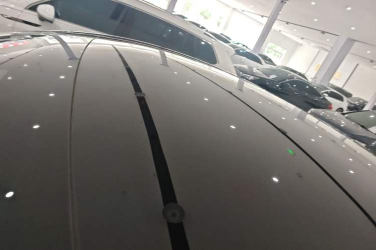 Used Tesla Model Y 2021 Standard Range Rear-Wheel Drive Version Roof