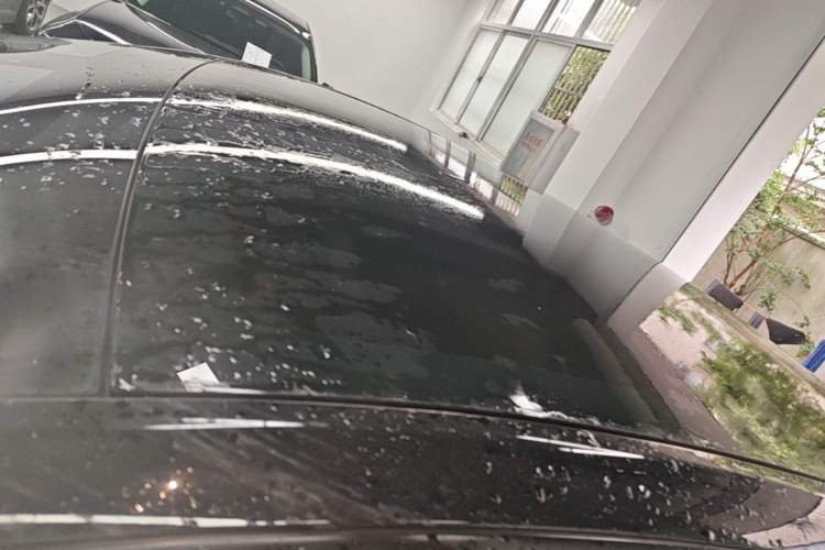 Used Tesla Model Y 2021 Standard Range Rear-Wheel Drive Version Roof
