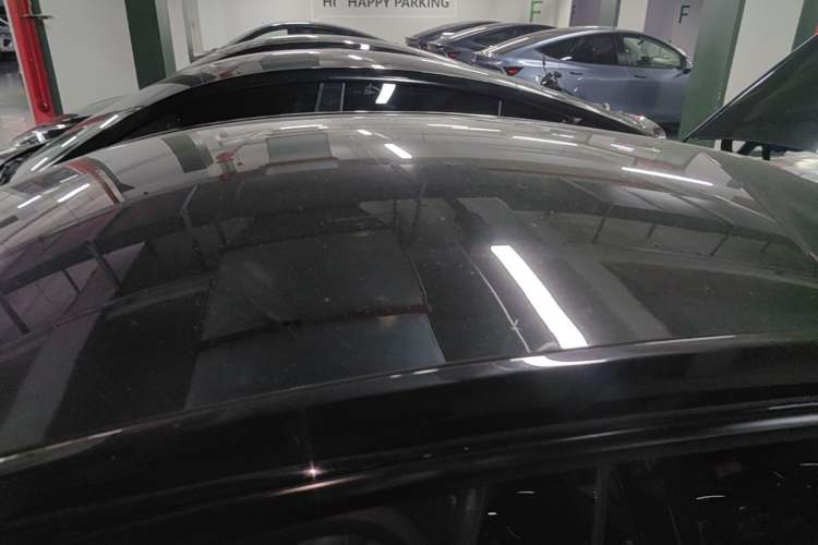 Used Tesla Model Y 2021 Standard Range Rear-Wheel Drive Version Roof