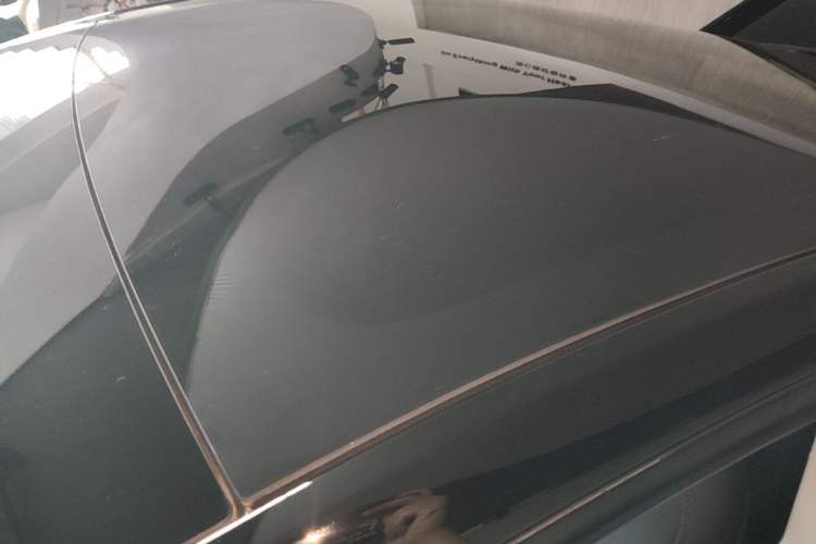 Used Tesla Model Y 2021 Standard Range Rear-Wheel Drive Version Roof