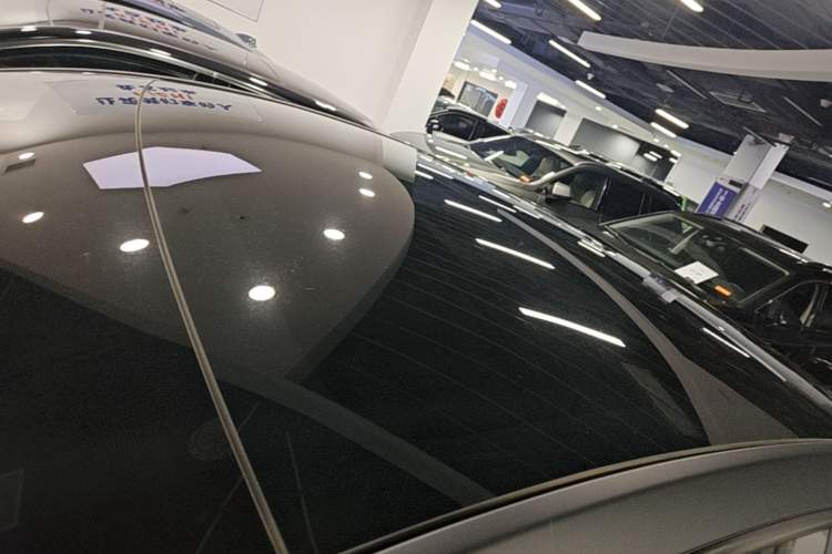 Used Tesla Model Y 2021 Standard Range Rear-Wheel Drive Version Roof