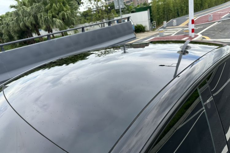 Used Tesla Model Y 2021 Standard Range Rear-Wheel Drive Version Roof
