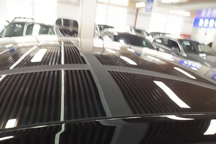 Used Tesla Model Y 2021 Standard Range Rear-Wheel Drive Version Roof