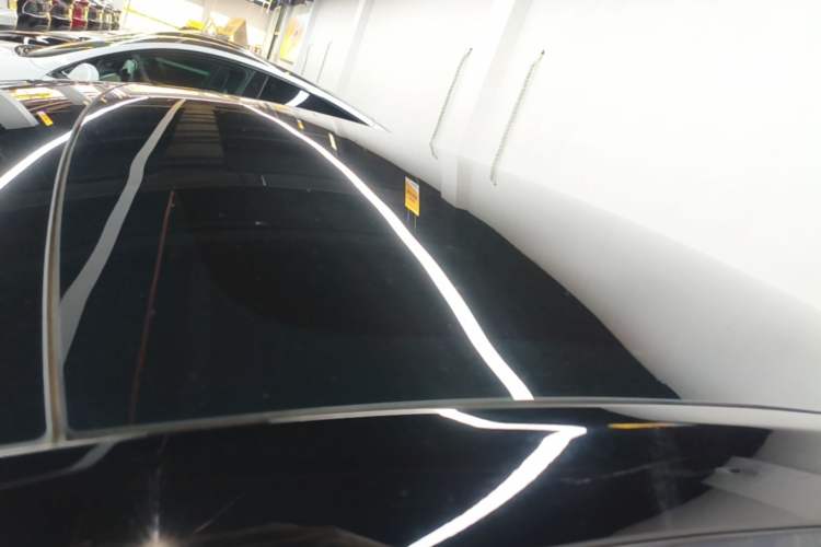 Used Tesla Model Y 2021 Standard Range Rear-Wheel Drive Version Roof