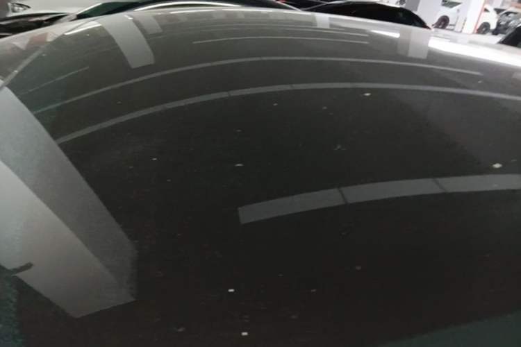 Used Tesla Model Y 2021 Standard Range Rear-Wheel Drive Version Roof