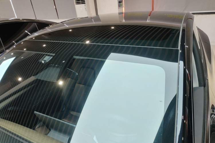 Used Tesla Model Y 2021 Standard Range Rear-Wheel Drive Version Roof