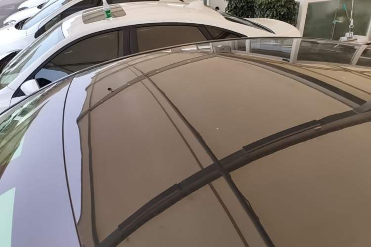Used Tesla Model Y 2021 Standard Range Rear-Wheel Drive Version Roof