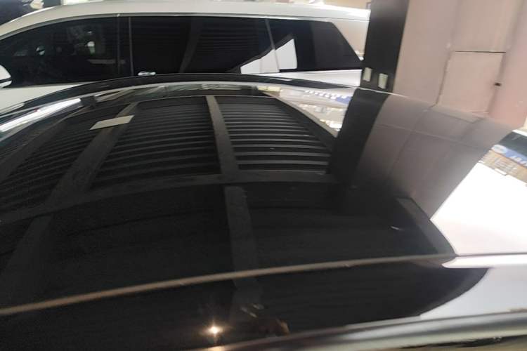 Used Tesla Model Y 2021 Standard Range Rear-Wheel Drive Version Roof