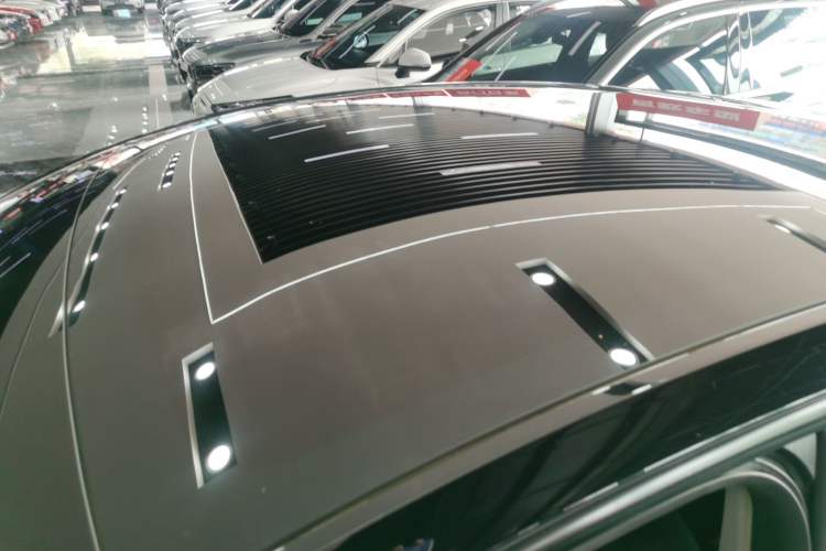 Used Tesla Model Y 2021 Standard Range Rear-Wheel Drive Version Roof