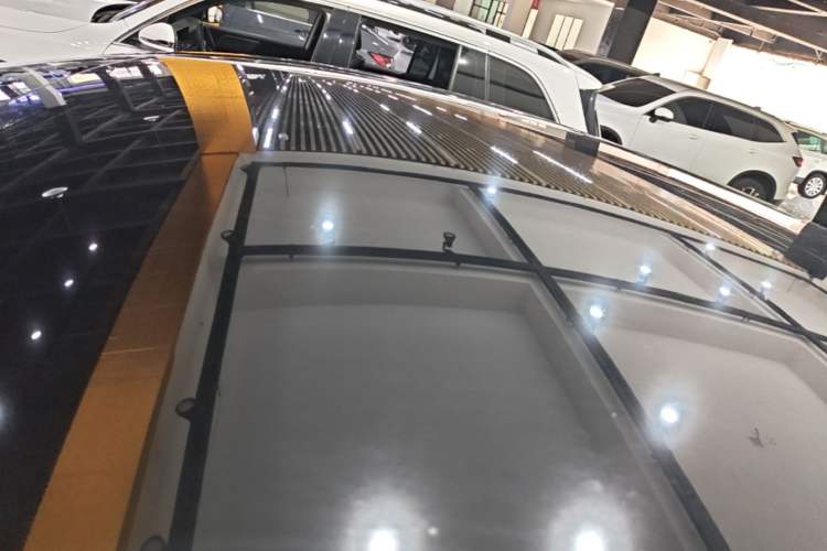 Used Tesla Model Y 2021 Performance High-Performance All-Wheel-Drive Version Roof