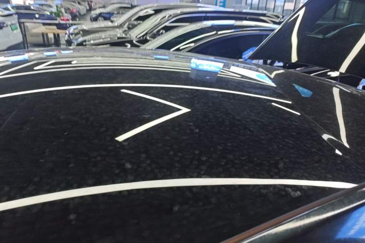 Used Tesla Model Y 2021 Standard Range Rear-Wheel Drive Version Roof