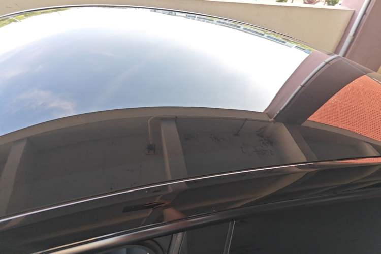 Used Tesla Model Y 2021 Standard Range Rear-Wheel Drive Version Roof