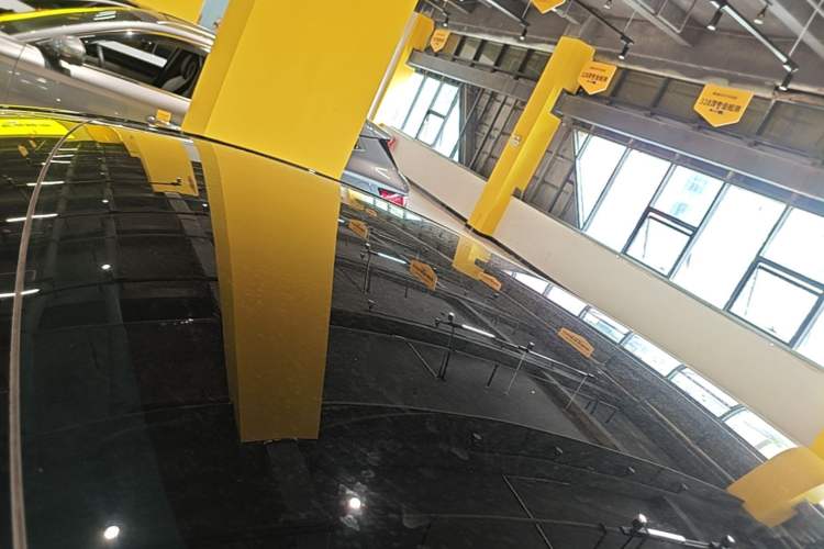 Used Tesla Model Y 2021 Standard Range Rear-Wheel Drive Version Roof