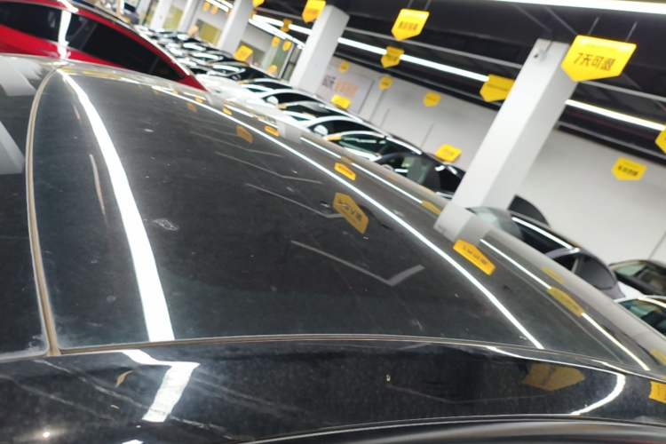 Used Tesla Model Y 2021 Standard Range Rear-Wheel Drive Version Roof