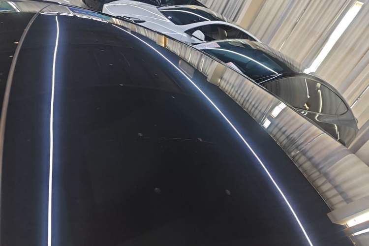 Used Tesla Model Y 2021 Standard Range Rear-Wheel Drive Version Roof